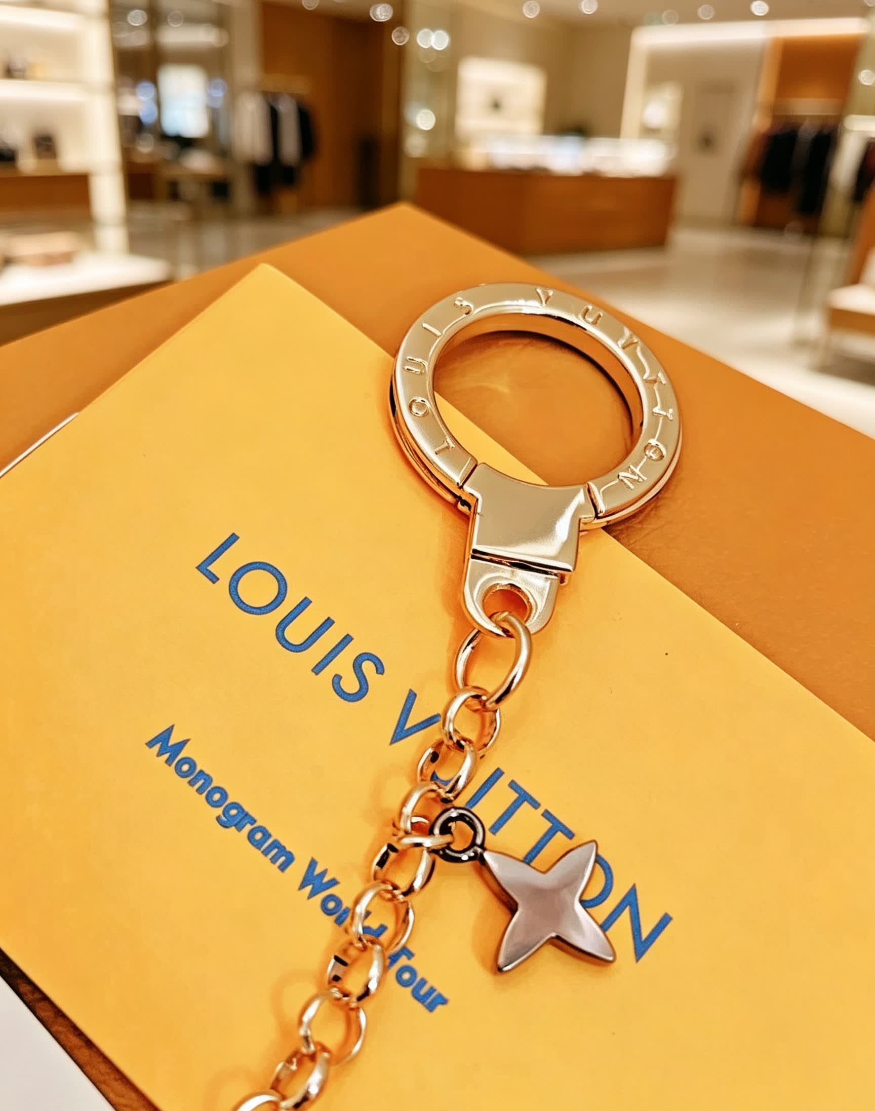 Louis Vuitton Monogram M50158 Keychain